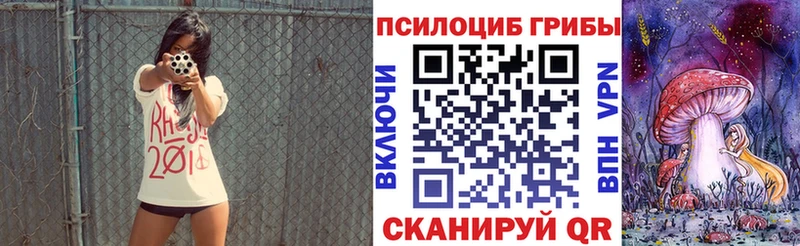 Псилоцибиновые грибы мухоморы  купить   блэк спрут ССЫЛКА  Новое Девяткино 